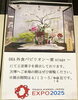5/12(月)までの展示です「EXPO 2025 大阪・関西万博はじまってます！」