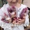 ドライフラワーブーケ「ドライフラワーブーケの魅力：母の日やプレゼントに最適な贈り物｜魔法洋菓子店ソルシエ」