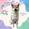 「Dog salon mofu mofu　余市町」
