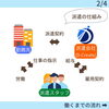 派遣の仕組み♪「\今さら聞けない/ 派遣とバイト 結局なにが違うの？？【派遣】」