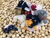 お出迎え「コンテックス　クツシタ人　[134/365]」