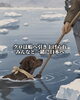 「シベリアに取り残されたクロの物語🐕‍🦺」