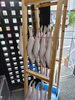 「📣本日のお魚情報🐟」