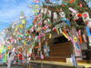 「赤坂七夕夏祭り」