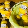 「魚魚市場鮮魚コーナーおすすめは「天然ヒラメ・マテ貝」です♪」