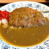 【宮津市】レトロなお皿に心躍る！老舗食堂「御食事処 糸仲」で味わう懐かしのカツカレー✨