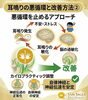 耳鳴り、難聴、めまい改善へのアプローチ「音を拾いすぎる脳の働きをリセット。耳鳴りの悪循環を止めるには？」