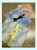 🎀芳朱堂オリジナルラッピング🎀「✨💨お急ぎはんこ アセチ💨✨」