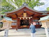 神聖な雰囲気で特別な瞬間を「椿神社へ参拝して会社の運気アップを祈願してきました⛩️」