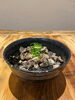 ダルム丼　　250円「人気ダルムの紹介」