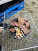 「恒例の花見BBQ大会開催！」