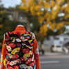 「11月15日はきもの日♫」