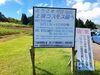 「青空に映える100万本のコスモス！魚沼を一望できる、上原コスモス園。」