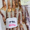 「魚魚市場鮮魚コーナーおすすめは「イサキ・ボイルシャコ」です♪」