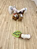 みんな大好き🩷ノーズワーク中😋「ましゅまろ幼稚園🐾　パートⅡ」
