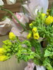 菜の花「季節の花束」