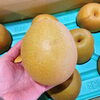「福島県産「王秋梨(おうしゅうなし)」が入荷しましたよー！」