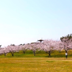 富津ふれあい公園｜富津市