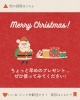 「Xmas Campaign🎁✨《6時間限定送料無料!》」