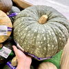 「農産物直売所では地元の旬の野菜も入荷します！」