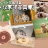 山陰のペット写真特集【小さな家族写真館】