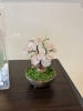 いつもお願いして作って頂いている季節のお花でせ。「お花が沢山咲いてます」