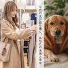 きらめくお守りが、あなたを幸せへと導きます。「あなたの挑戦を照らす光　【七彩導守（なないろ みちびき まもり）】赤　　「七」色の光が「彩」り、「導」くように願い、心を込めてご祈祷したお「守」り」