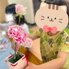 好きなように飾り付け「あかとんぼでの花育☆感謝の気持ちを込めてお花を飾ろう🌸《子どもたちのお困り事を解決！高松市の児童発達支援・放課後等デイサービス》」