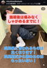 成長痛も早期回復！諦めないで「成長痛・スポーツ障害でお悩みの方へ」
