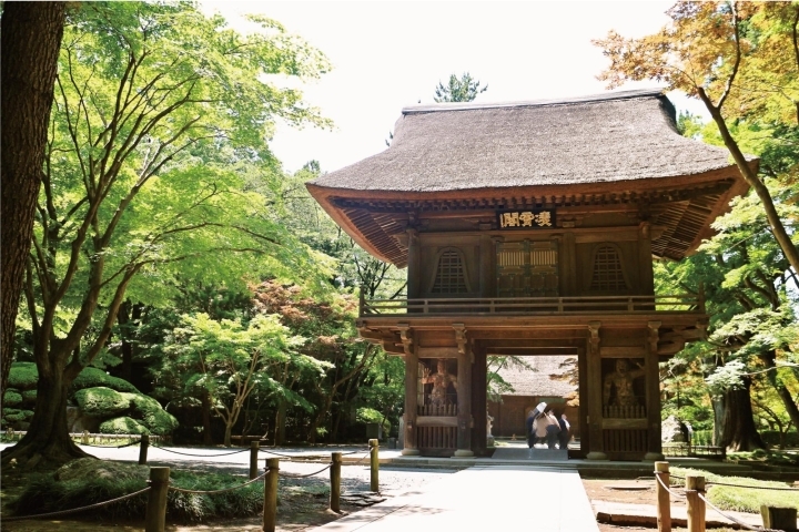 朝霞 志木 新座 和光の歴史探訪特集 平林寺 朝霞 志木 新座 和光の歴史探訪特集 歴史を感じながら癒しスポットへ まいぷれ 朝霞 志木 新座 和光 朝霞 志木 新座 和光の歴史探訪特集 平林寺 朝霞 志木 新座 和光の歴史探訪特集 歴史を感じながら癒しスポットへ まいぷれ 朝霞 志木 新座 和光