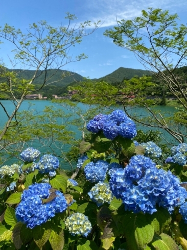 「近場を日帰りでぶらりドライブ♪」