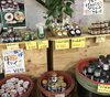 「魚魚市場鮮魚コーナーおすすめは「西岡醤油・にんにくみそ」「辛口味噌だれ」です♪」