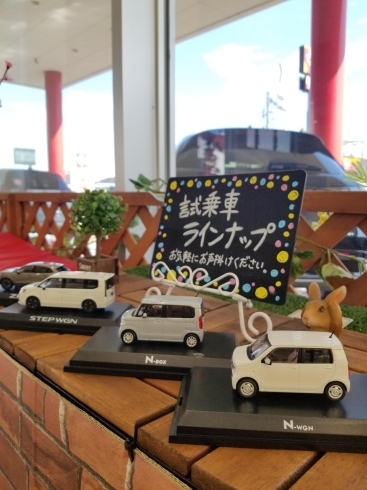 「プレミアム決算フェア開催中！「Honda Cars 糸魚川」✨(北陸自動車さんです！)」