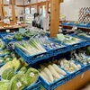 「暑い日は夏野菜が食べたくなりますね！」