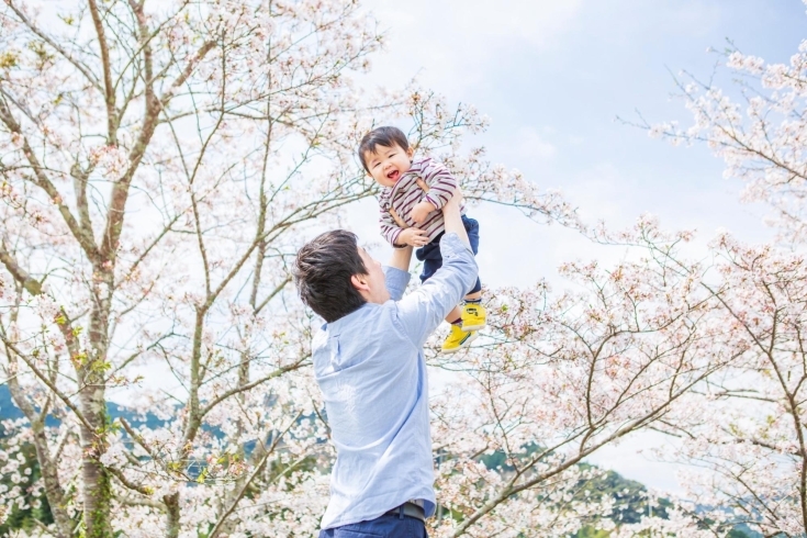 桜、高い高い「ソメイヨシノ撮影会【静岡市/富士市】」