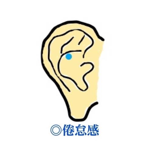 疲れた体に効く 耳つぼ紹介 パソナライフケアのニュース まいぷれ 江戸川区 疲れた体に効く 耳つぼ紹介 パソナライフケアのニュース まいぷれ 江戸川区