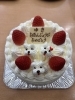 ゆきちゃん　お誕生日　おめでとうございます「わんちゃんデコがかわいい♪ 生クリーム5号バースデーケーキ」