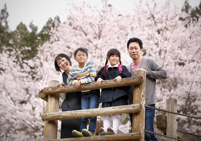 家族写真も桜と一緒に♪「桜ロケーション撮影は前写しがおススメです(^^♪」