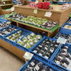 「道の駅木曽福島『信州ぶどう入荷します！』」