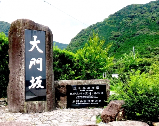 パワースポットとしても有名な場所です「和歌山のおすすめ観光スポット❣【大門坂】」
