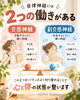 「その不調、実はつながっているかも？｜自律神経の働きと大切にしたい休息の時間」