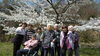 「デイサービス金太郎野外歩行訓練inグリーンピア八女桜見学(^O^)‼️。」
