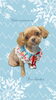 「Dog salon mofu mofu　余市町」