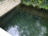 川の様子「杉田川ふれあい散歩道が氾濫」