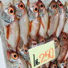 「魚魚市場鮮魚コーナーおすすめは「レンコ鯛・ノドグロ・トビウオ」です♪」