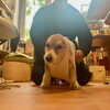 hug「Good morning Otaru! ◎ 小樽の古民家ゲストハウスより」