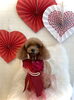 おたまちゃん／テディベア　ロング　シニアさん「Happy Valentine ♡ ＆  店休日のお知らせ」