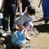 アユの稚魚放流