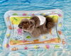 しゃかくん「波とわんこ🌊」