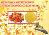 紅葉吹雪「「コロナ退散の大祈祷法要（秋の大祭）」～あのアニメキャラとコラボ～」
